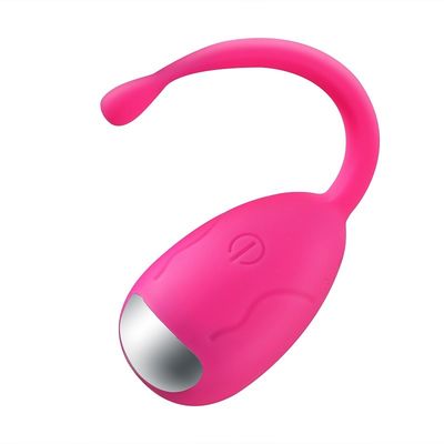 OEM van de het Eivibrator van de Siliconekogel de Draadloze Waterdichte Afstandsbediening IPX7