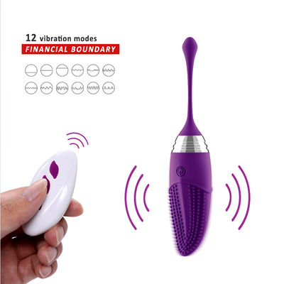 Het Eivibrator 10 Frequentie 100mm Waterdichte IPX7 van het afstandsbedieningsilicone