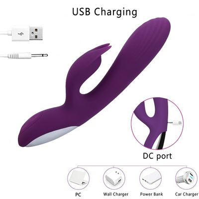 USB-het Laden 	22.5cm Vibratorgeslacht Toy Healthy Silicone 10 Snelheid