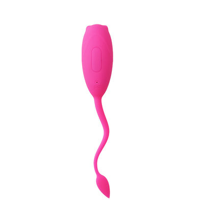 10 de Afstandsbediening van het het Geslachtsspeelgoed van snelheids Trillend Vrouwen het Springen Ei IPX7