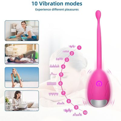 OEM van de het Eivibrator van de Siliconekogel de Draadloze Waterdichte Afstandsbediening IPX7
